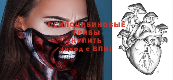 дмт Кулебаки