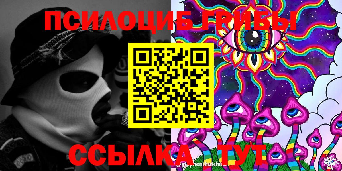 Курчатов  Псилоцибиновые грибы Psilocybine cubensis  как найти   Вход с VPN  Галлюциногенные грибы Magic Shrooms 