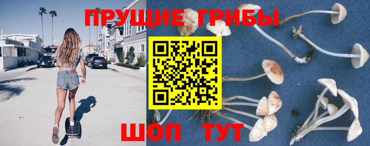 Мефедрон   Курчатов  Вход с VPN  Кокаин  МЕФ  Конопля 