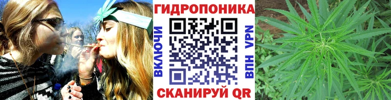 площадка телеграм  Курчатов  Канабис ГИДРОПОН 